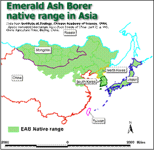 [image:] Emerald Ash Borer native range in Asia: Data from Institute of Zoology, Chinese Academy of Science. 1986.